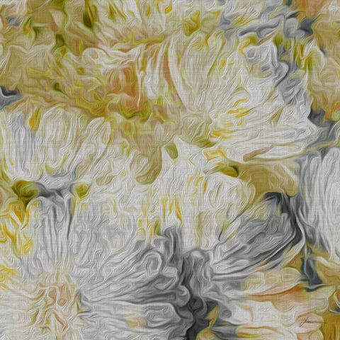 Mums in Sun I Black Modern Wood Framed Art Print by Burghardt, James
