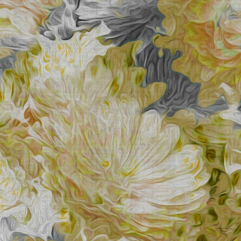 Mums in Sun II White Modern Wood Framed Art Print with Double Matting by Burghardt, James