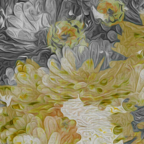 Mums in Sun III White Modern Wood Framed Art Print with Double Matting by Burghardt, James