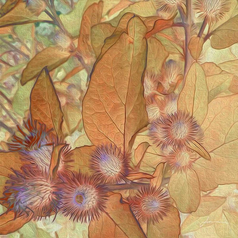 Prickley Tiles II Gold Ornate Wood Framed Art Print with Double Matting by Burghardt, James