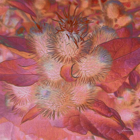 Prickley Tiles III Black Ornate Wood Framed Art Print with Double Matting by Burghardt, James