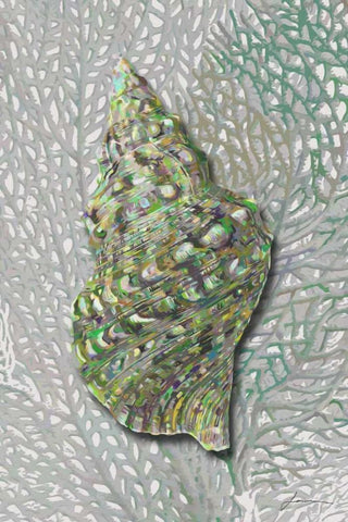 Hifi Triton I White Modern Wood Framed Art Print with Double Matting by Burghardt, James