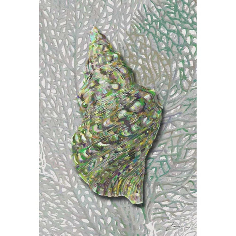 Hifi Triton I Black Modern Wood Framed Art Print with Double Matting by Burghardt, James