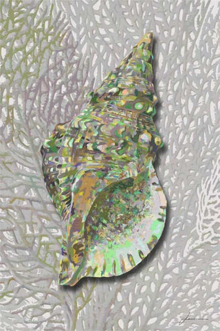 Hifi Triton II Black Ornate Wood Framed Art Print with Double Matting by Burghardt, James