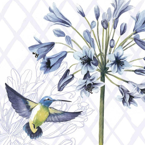 Hummingbird Dance II Black Modern Wood Framed Art Print with Double Matting by Popp, Grace