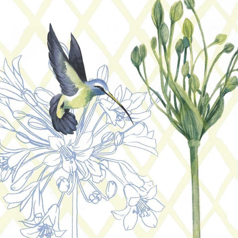 Hummingbird Dance III White Modern Wood Framed Art Print with Double Matting by Popp, Grace