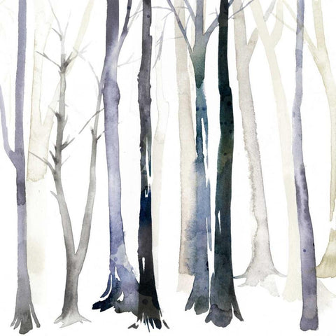 In the Forest II Black Modern Wood Framed Art Print by Popp, Grace