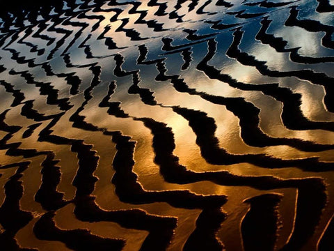 Wave Reflections Black Ornate Wood Framed Art Print with Double Matting by Burchett, P.H.