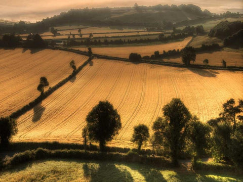 Ireland Overlook Black Ornate Wood Framed Art Print with Double Matting by Burchett, P.H.