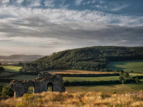 Ireland Ruins Black Ornate Wood Framed Art Print with Double Matting by Burchett, P.H.