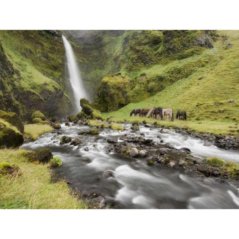 Waterfall Horses I Black Modern Wood Framed Art Print with Double Matting by Burchett, P.H.