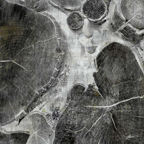 Logging I Black Modern Wood Framed Art Print by Butler, John