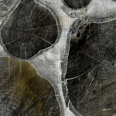 Logging II Black Modern Wood Framed Art Print by Butler, John