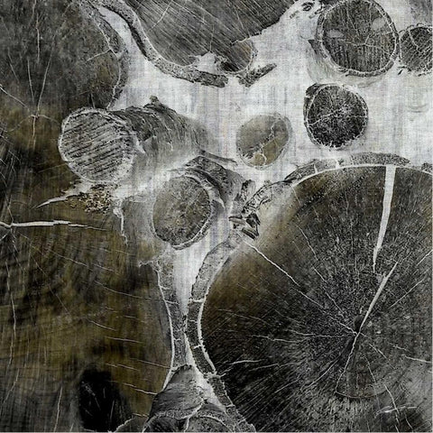 Logging III Black Modern Wood Framed Art Print by Butler, John