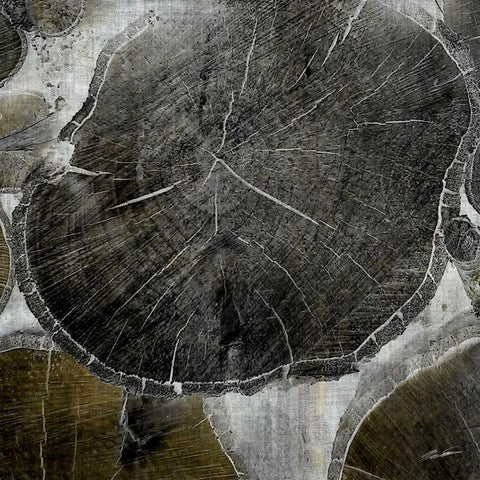 Logging IV White Modern Wood Framed Art Print by Butler, John