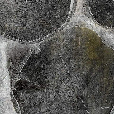 Logging V Black Modern Wood Framed Art Print by Butler, John