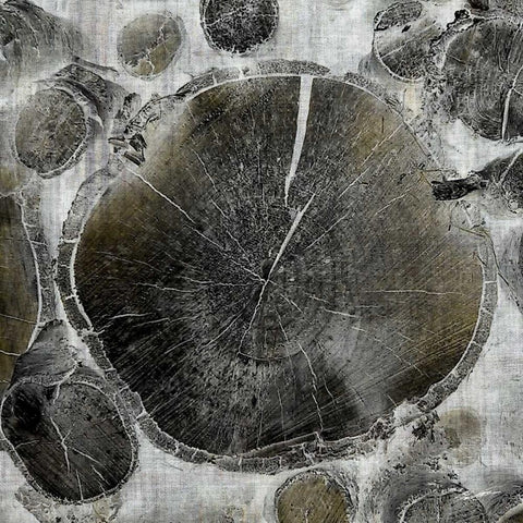 Logging VI Gold Ornate Wood Framed Art Print with Double Matting by Butler, John