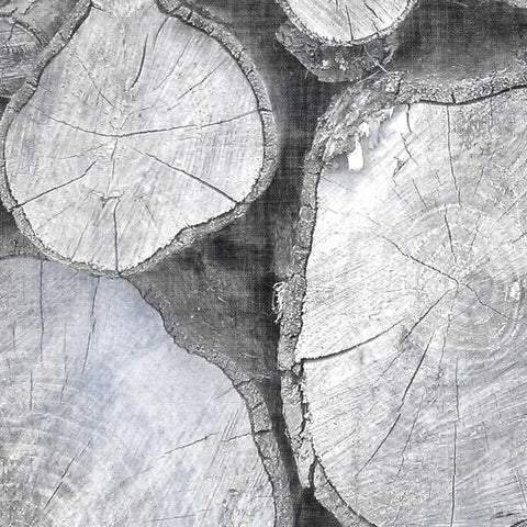 Logging Light II White Modern Wood Framed Art Print by Butler, John