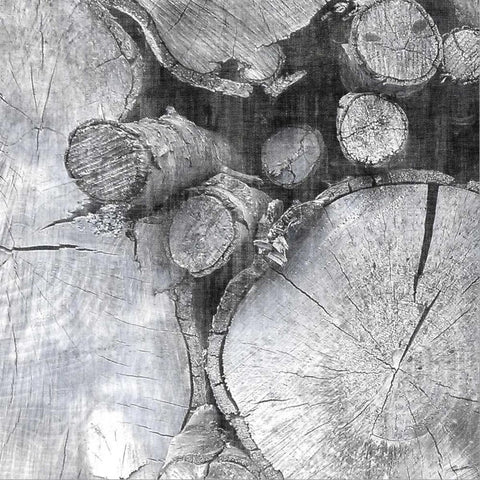 Logging Light III Black Modern Wood Framed Art Print by Butler, John