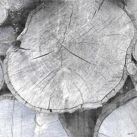 Logging Light IV White Modern Wood Framed Art Print with Double Matting by Butler, John