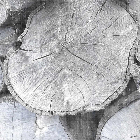 Logging Light IV Black Modern Wood Framed Art Print by Butler, John