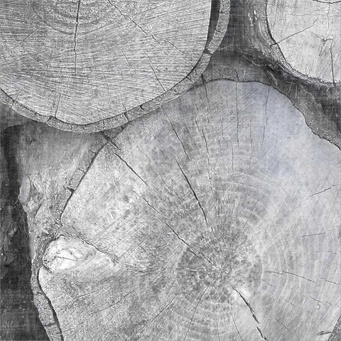 Logging Light V White Modern Wood Framed Art Print with Double Matting by Butler, John