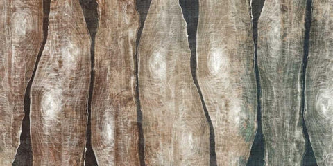 Live Edge I Black Ornate Wood Framed Art Print with Double Matting by Butler, John