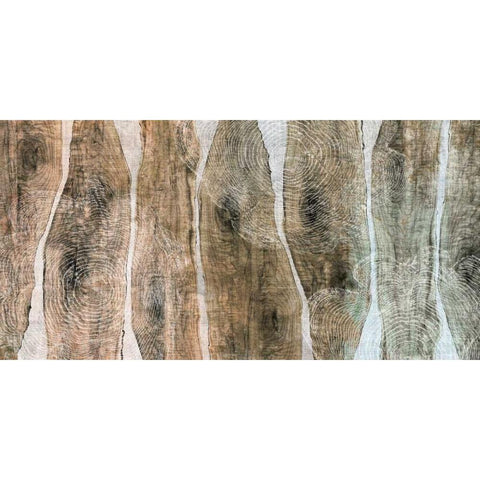 Live Edge II Black Modern Wood Framed Art Print with Double Matting by Butler, John