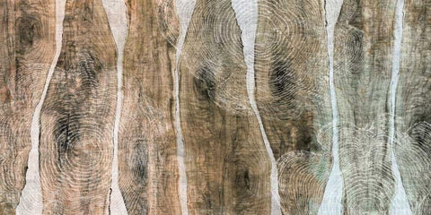 Live Edge II Black Ornate Wood Framed Art Print with Double Matting by Butler, John