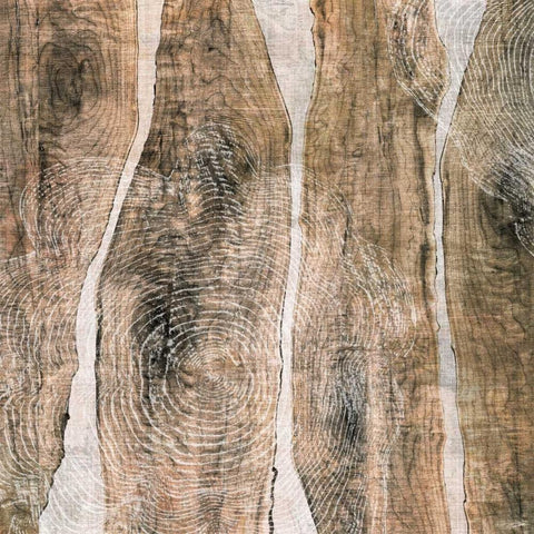 Live Edge III Black Modern Wood Framed Art Print with Double Matting by Butler, John