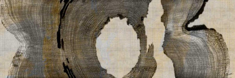 Cedar Round II White Modern Wood Framed Art Print with Double Matting by Butler, John