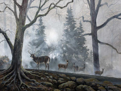 Deer Path I White Modern Wood Framed Art Print with Double Matting by Lynnsy, B.