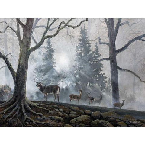 Deer Path I Black Modern Wood Framed Art Print by Lynnsy, B.