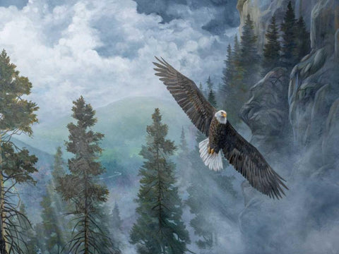 Soaring High II Black Ornate Wood Framed Art Print with Double Matting by Lynnsy, B.
