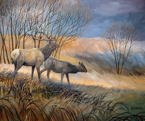 Elk Journey I Black Ornate Wood Framed Art Print with Double Matting by Lynnsy, B.