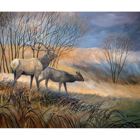 Elk Journey I Black Modern Wood Framed Art Print by Lynnsy, B.