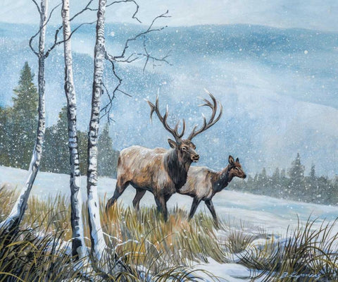 Elk Journey IV Black Ornate Wood Framed Art Print with Double Matting by Lynnsy, B.