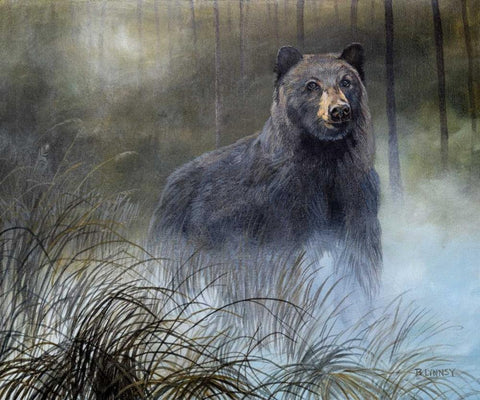 Misty Wild III Black Ornate Wood Framed Art Print with Double Matting by Lynnsy, B.