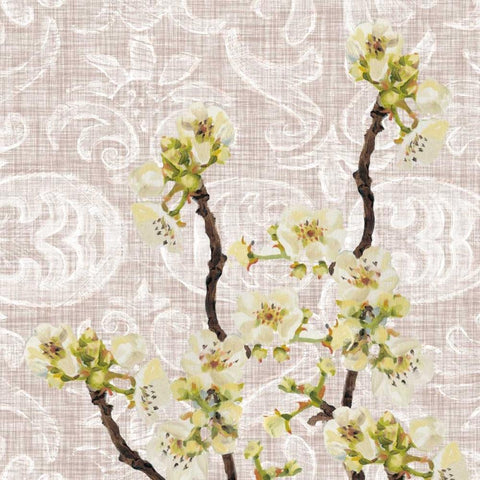 Flower Study Collection E White Modern Wood Framed Art Print by Miller, Dianne