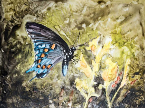 Butterfly in Nature I Black Ornate Wood Framed Art Print with Double Matting by Lynnsy, B.