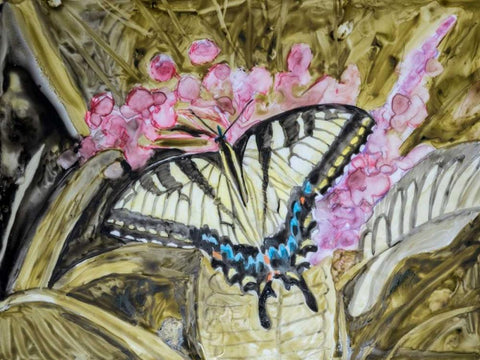 Butterfly in Nature II White Modern Wood Framed Art Print with Double Matting by Lynnsy, B.