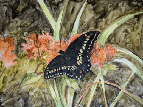 Butterfly in Nature III White Modern Wood Framed Art Print with Double Matting by Lynnsy, B.