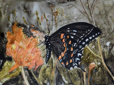 Butterfly in Nature IV White Modern Wood Framed Art Print with Double Matting by Lynnsy, B.