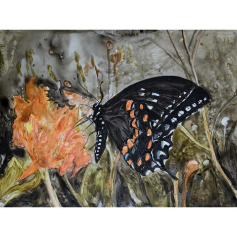 Butterfly in Nature IV Black Modern Wood Framed Art Print by Lynnsy, B.