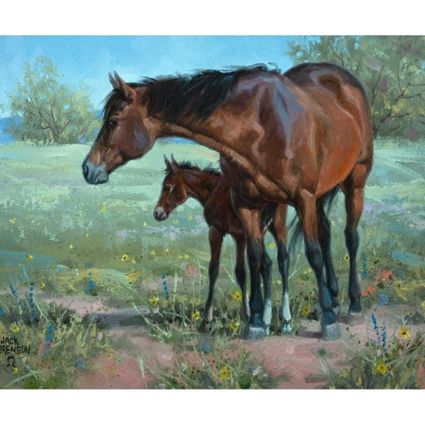 Watchful Eye Black Modern Wood Framed Art Print with Double Matting by Sorenson, Jack