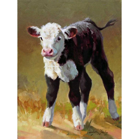 Princess Black Modern Wood Framed Art Print with Double Matting by Hawley, Carolyne