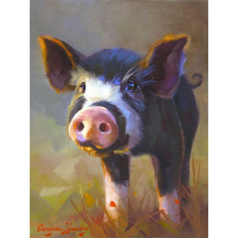 Jasmine White Modern Wood Framed Art Print by Hawley, Carolyne