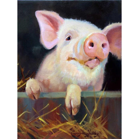 Farm Club II Black Modern Wood Framed Art Print by Hawley, Carolyne