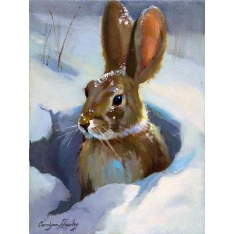 Snow Bunny White Modern Wood Framed Art Print by Hawley, Carolyne