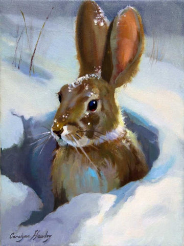 Snow Bunny White Modern Wood Framed Art Print with Double Matting by Hawley, Carolyne